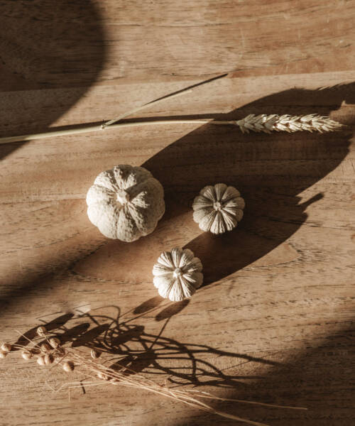 - imageTrio de courges