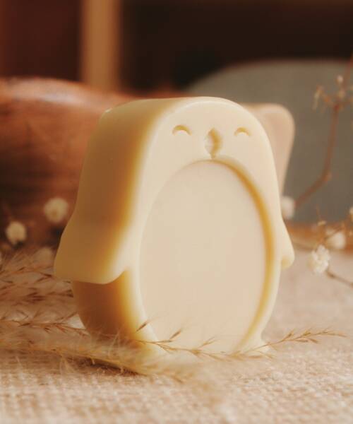 - imageSavon mousse sauvage – Pingouin